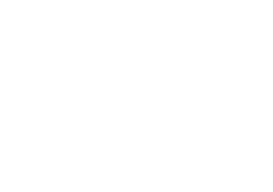 Lighthouse Capital