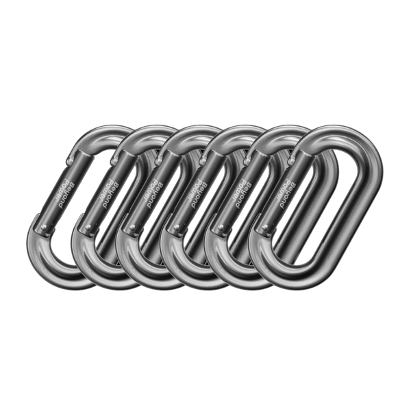 Carabiner ×6